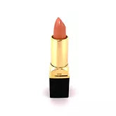 Performance Lipstick - 22P Coral SKU: 22P